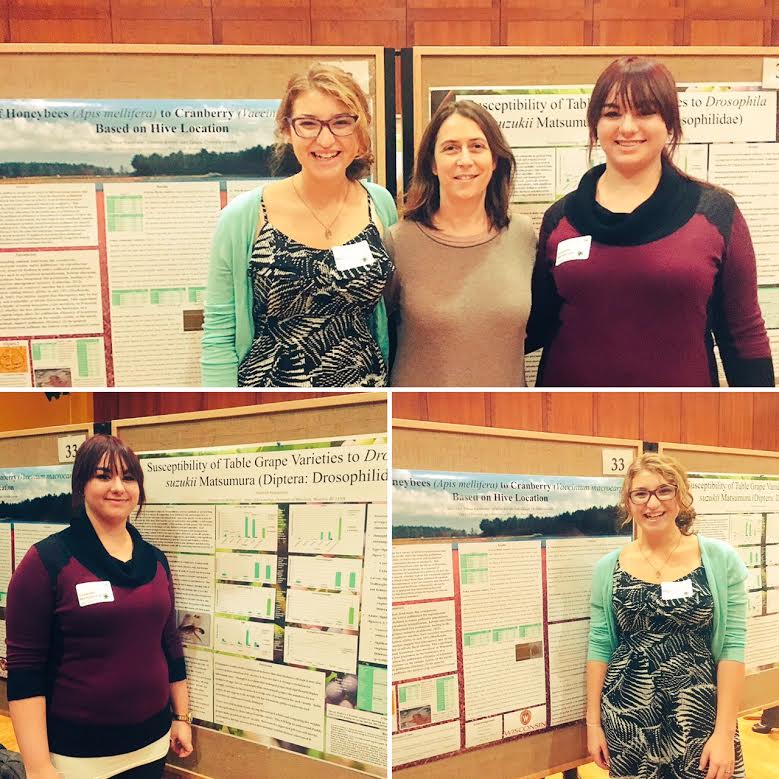 Undergraduate Research Posters group
